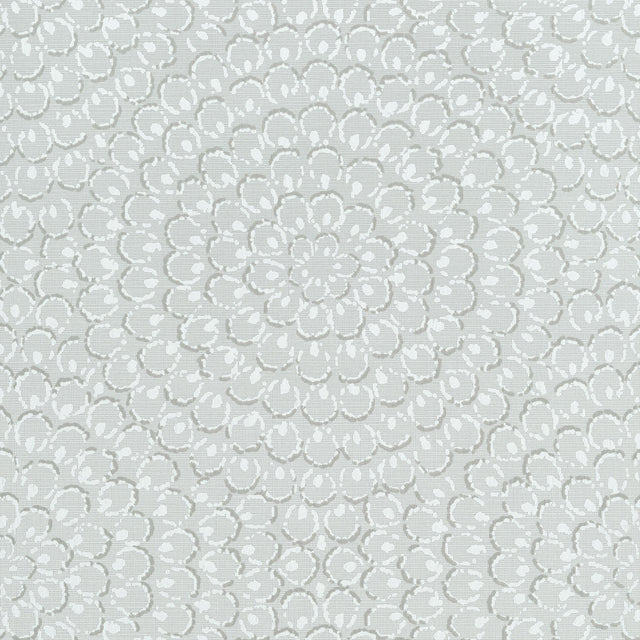 Thibaut Aster Grey Wallpaper