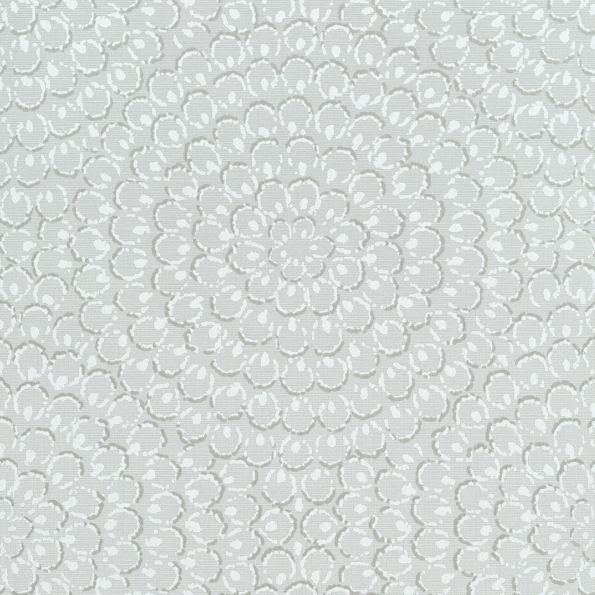 Thibaut Aster Grey Wallpaper