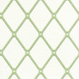 Thibaut Easom Trellis Green Wallpaper