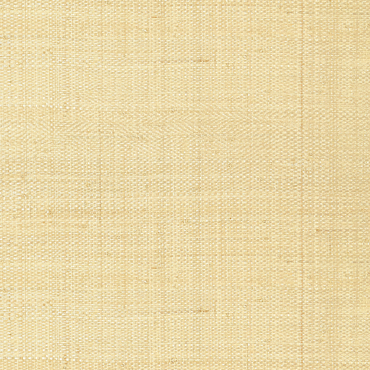Thibaut Pearl Bay Off White Wallpaper