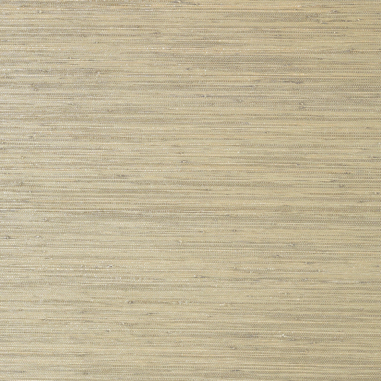 Thibaut Gulf Shore Pewter Wallpaper