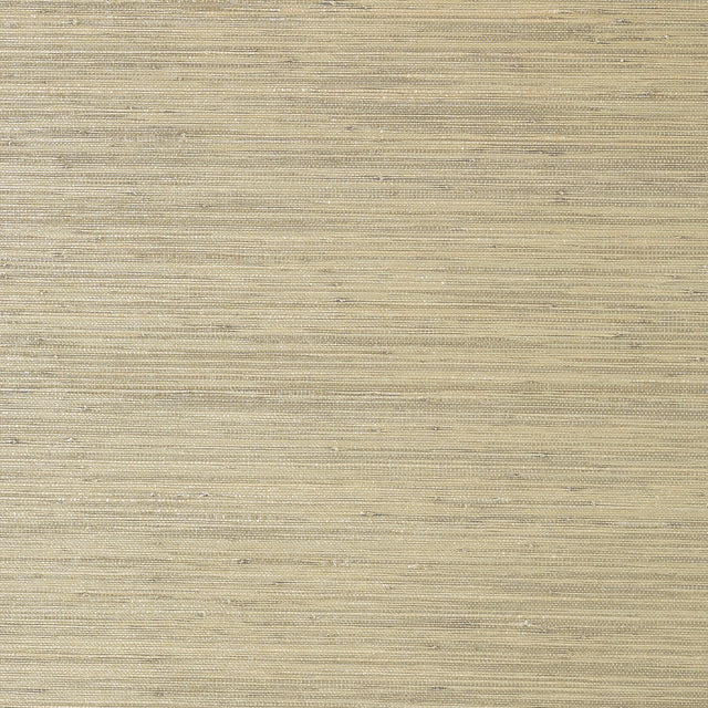 Thibaut Gulf Shore Pewter Wallpaper