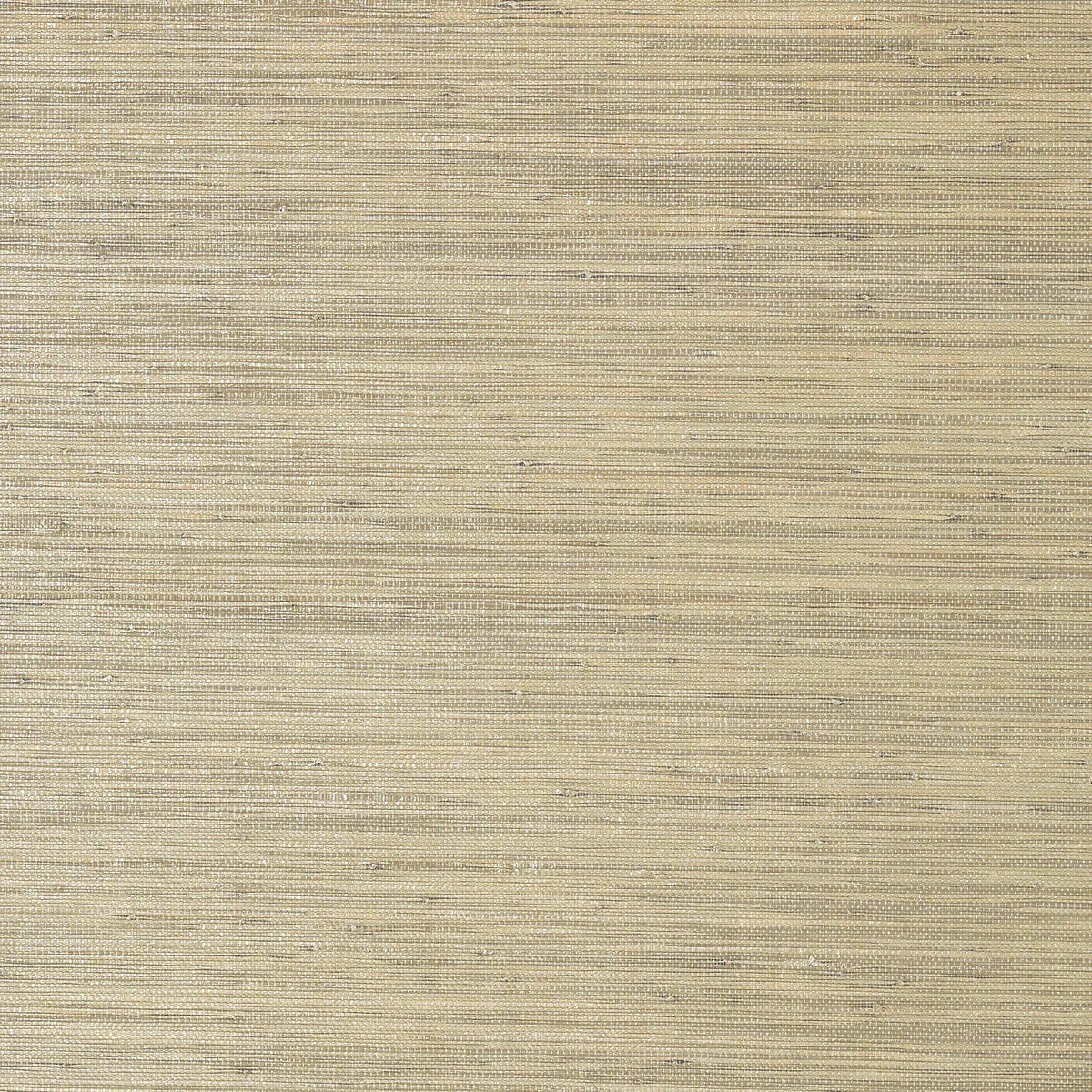 Thibaut Gulf Shore Pewter Wallpaper