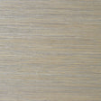 Thibaut Gulf Shore Grey Wallpaper