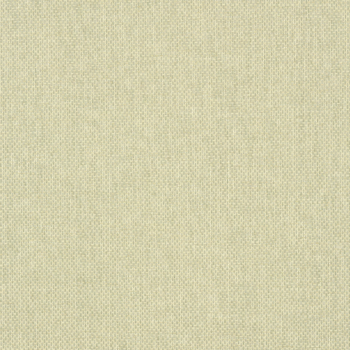 Thibaut Adriatic Sage Wallpaper