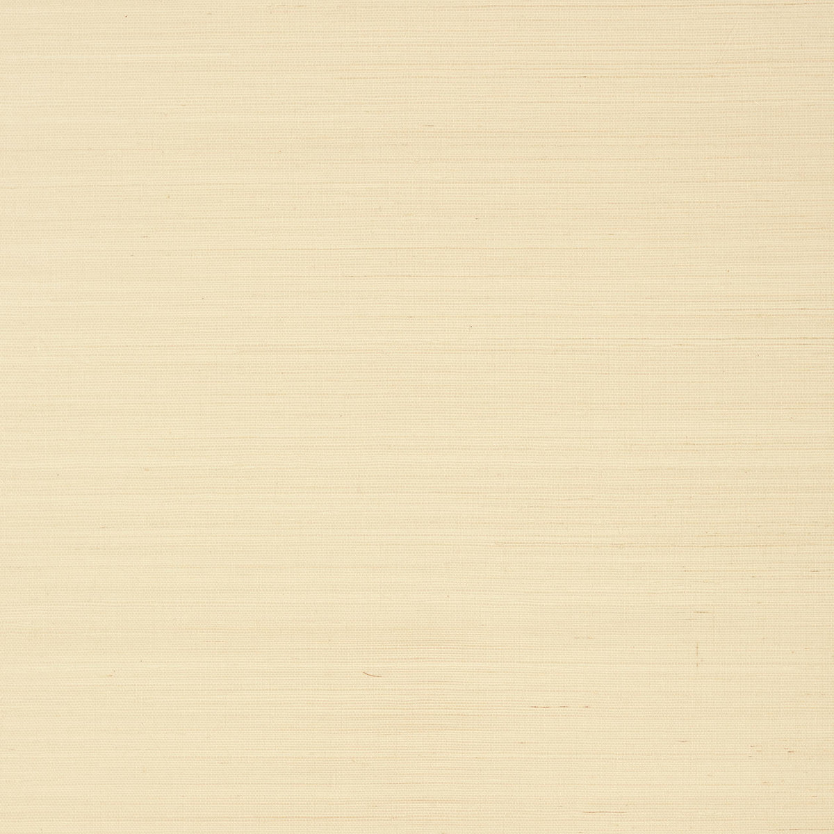 Thibaut Shang Extra Fine Sisal Beige Wallpaper