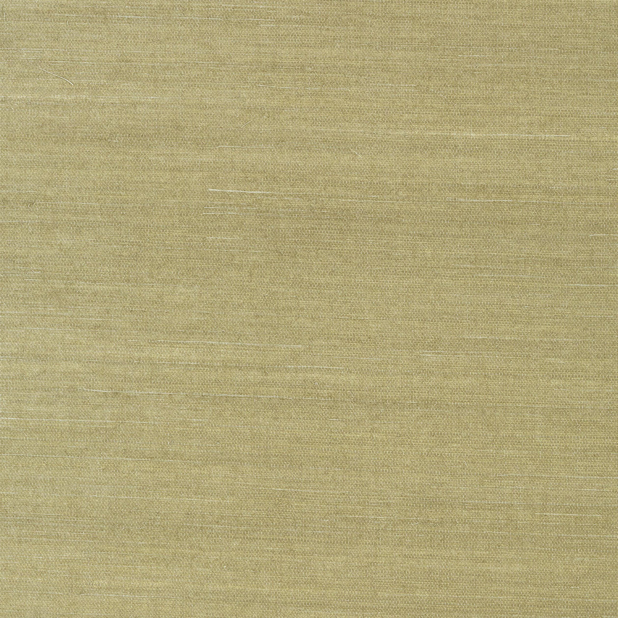 Thibaut Shang Extra Fine Sisal Moss Wallpaper