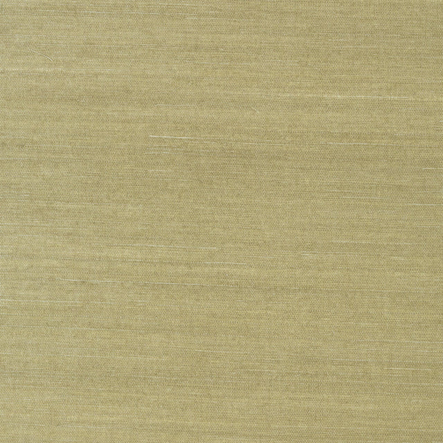 Thibaut Shang Extra Fine Sisal Moss Wallpaper