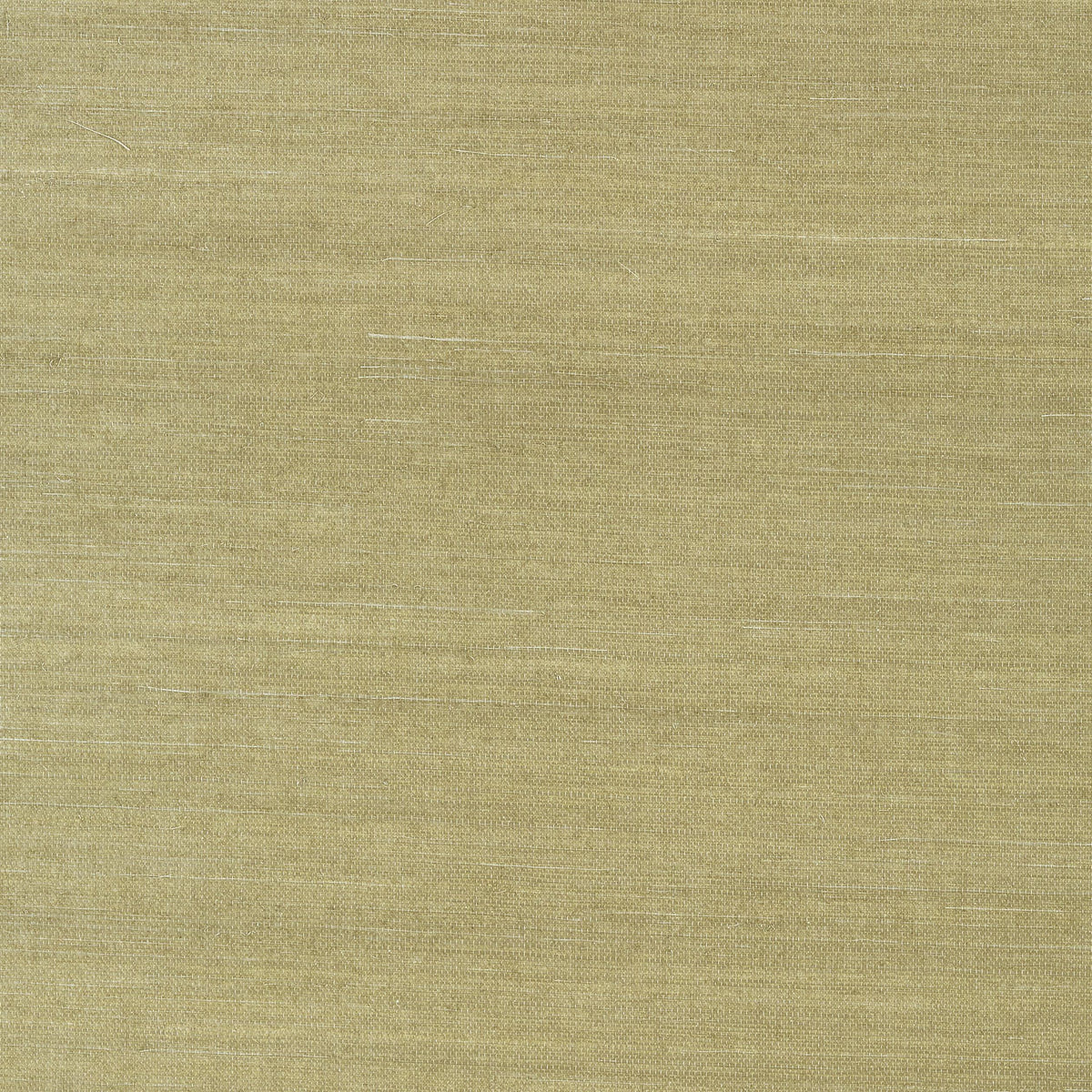 Thibaut Shang Extra Fine Sisal Moss Wallpaper