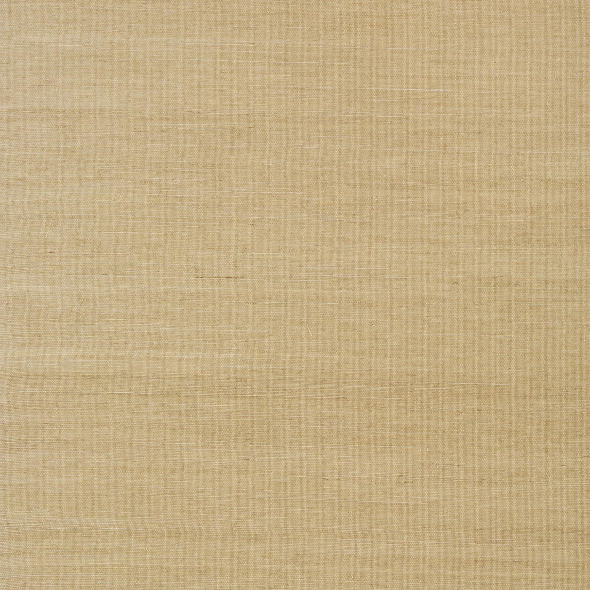 Thibaut Shang Extra Fine Sisal Doe Wallpaper