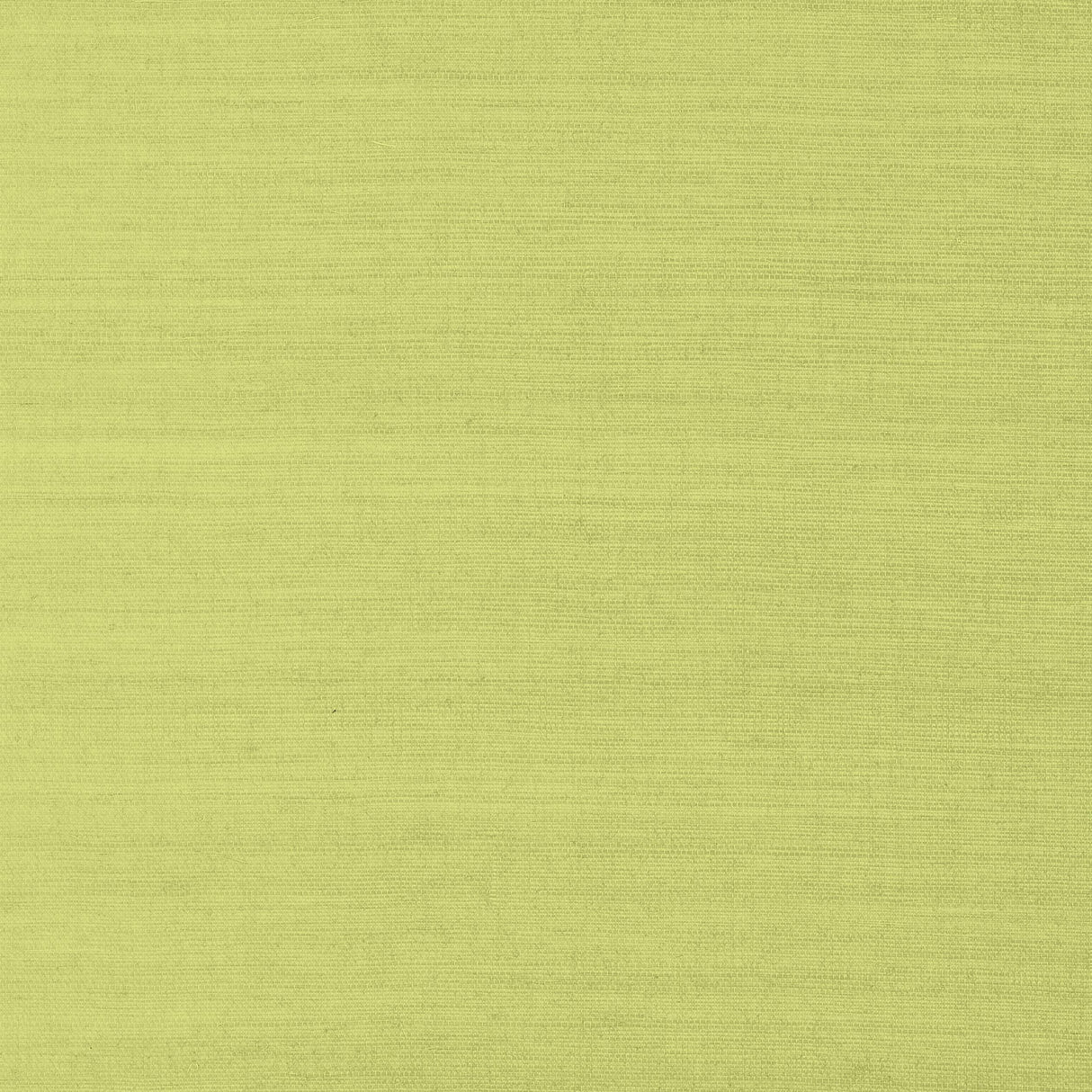 Thibaut Shang Extra Fine Sisal Green Wallpaper