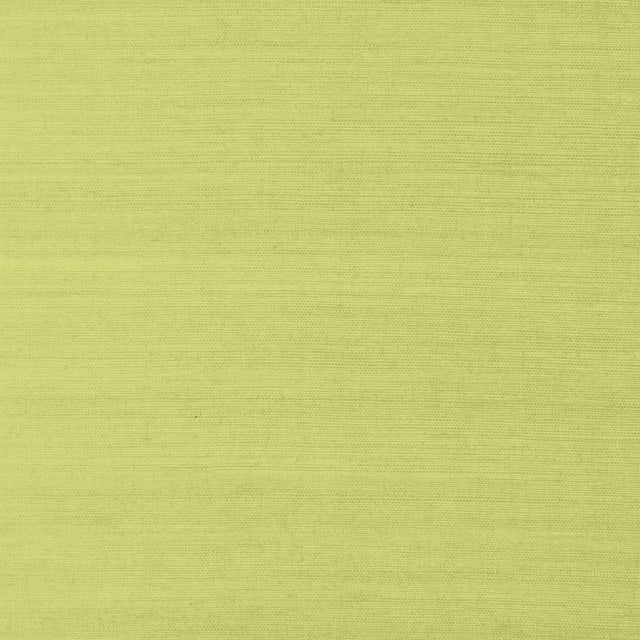 Thibaut Shang Extra Fine Sisal Green Wallpaper