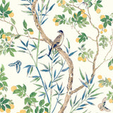 Thibaut CLAIRE Yellow and Navy Wallpaper