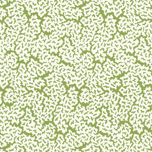 Thibaut MALDIVES Green Wallpaper