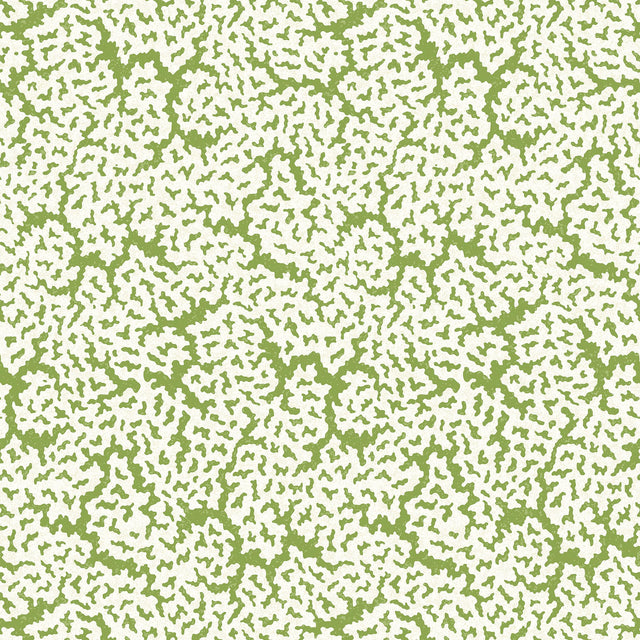 Thibaut Maldives Green Wallpaper