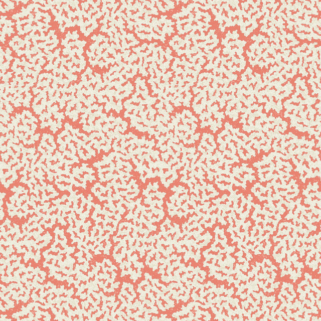 Thibaut MALDIVES Coral Wallpaper