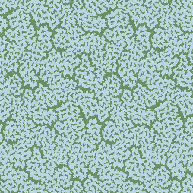 Thibaut MALDIVES Blue and Green Wallpaper