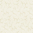 Thibaut MALDIVES Cream Wallpaper