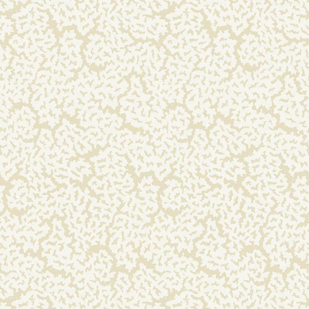 Thibaut MALDIVES Cream Wallpaper