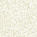 Thibaut MALDIVES Cream Wallpaper