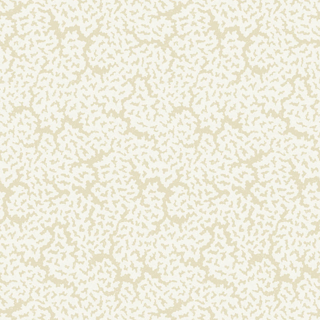 Thibaut MALDIVES Cream Wallpaper