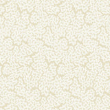 Thibaut Maldives Cream Wallpaper