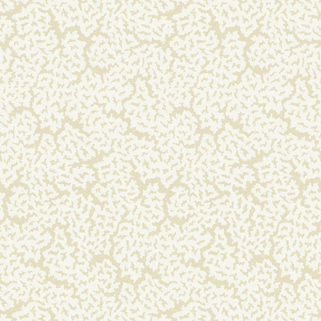 Thibaut Maldives Cream Wallpaper