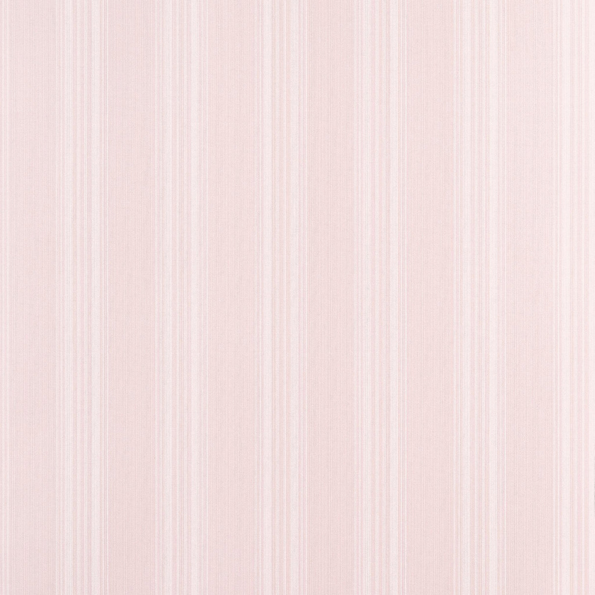 Thibaut SCARLET STRIPE Blush Wallpaper