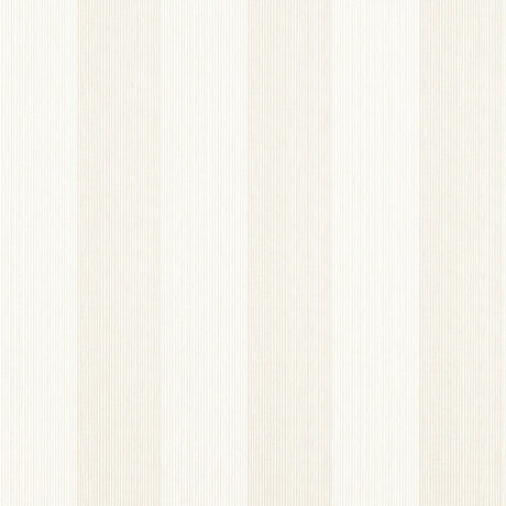Thibaut EVAN STRIPE Cream Wallpaper
