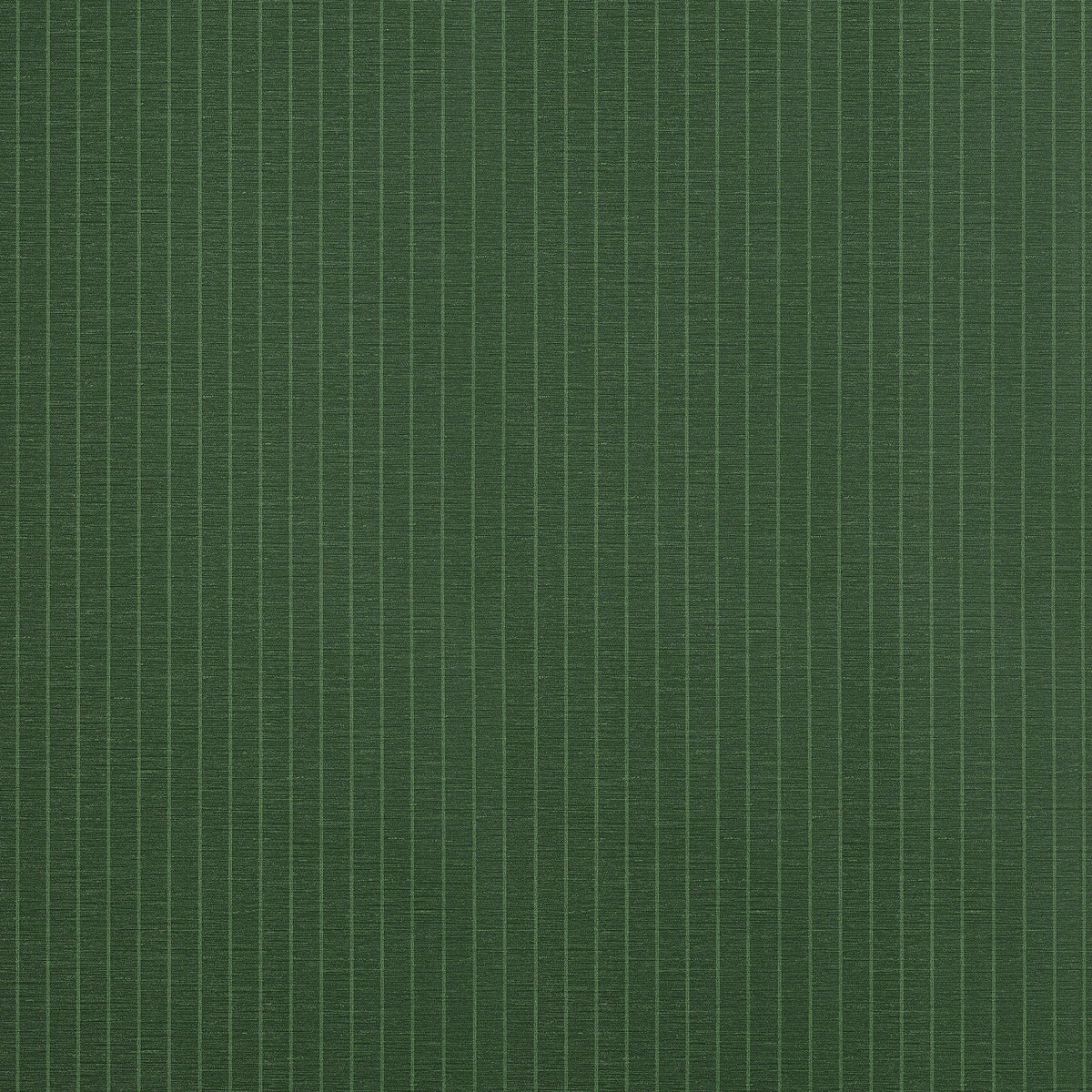 Thibaut Suited Stripe Forest Green Wallpaper