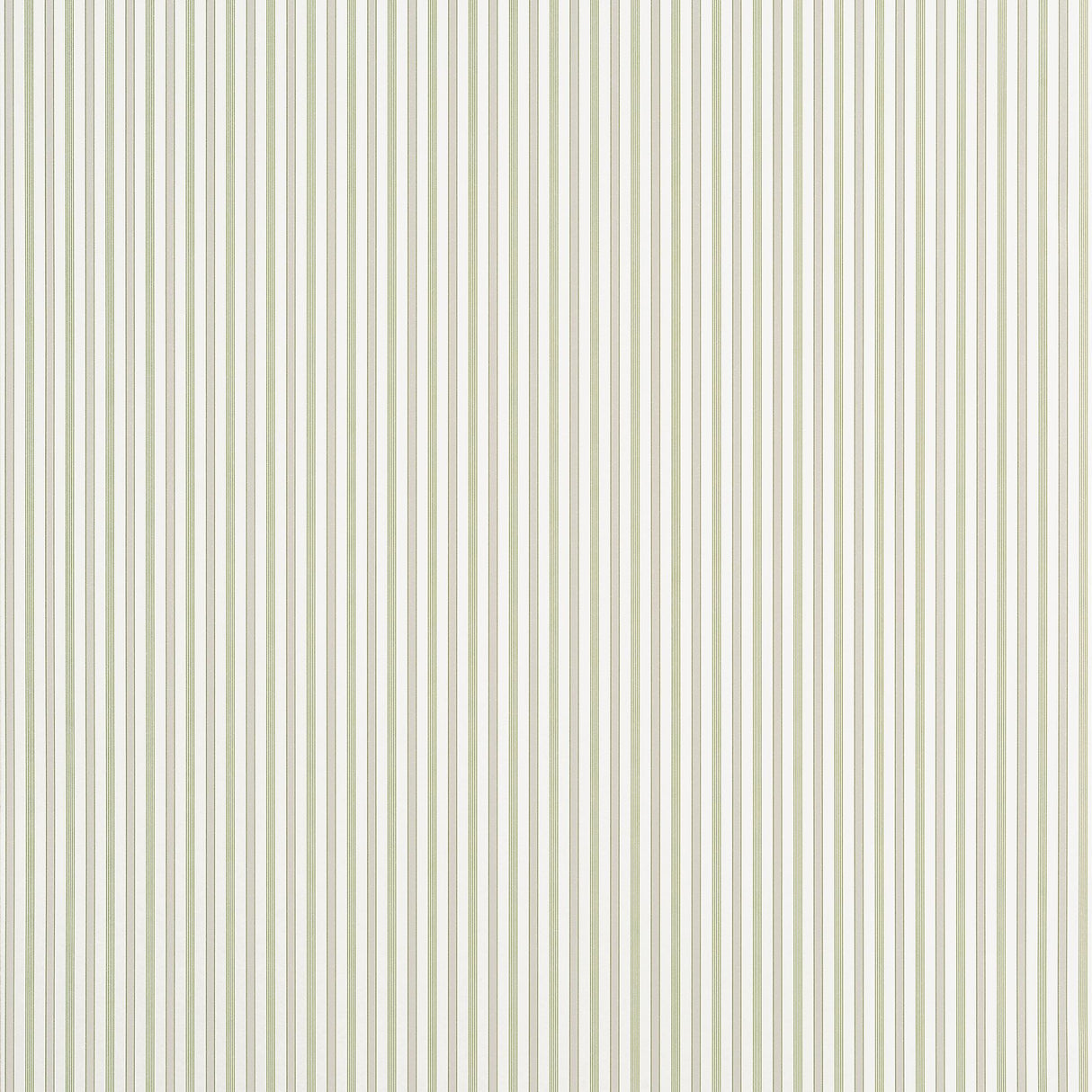 Thibaut CONNER STRIPE Green and Beige Wallpaper