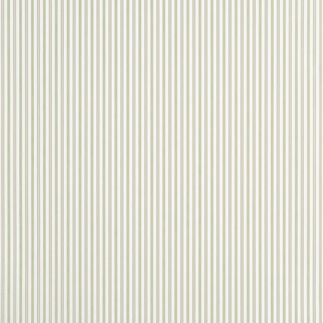 Thibaut CONNER STRIPE Green and Beige Wallpaper
