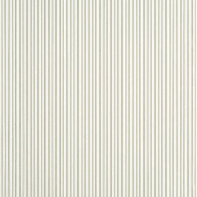 Thibaut CONNER STRIPE Green and Beige Wallpaper