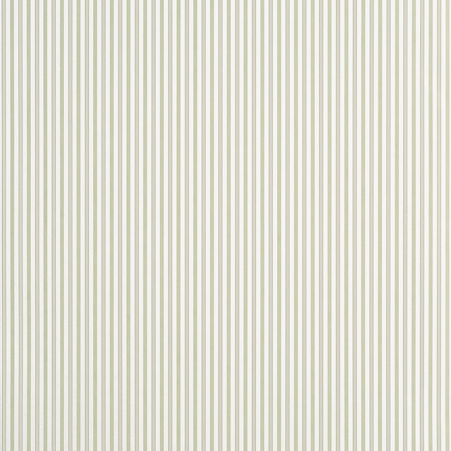 Thibaut Conner Stripe Green And Beige Wallpaper