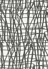 Thibaut MORI Black Wallpaper