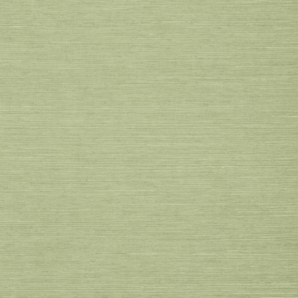 Thibaut Shang Extra Fine Sisal Willow Wallpaper