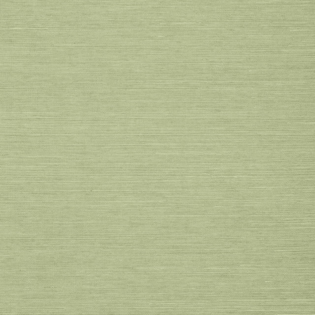 Thibaut Shang Extra Fine Sisal Willow Wallpaper