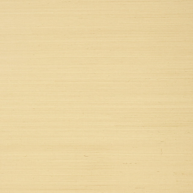 Thibaut Shang Extra Fine Sisal Vanilla Wallpaper