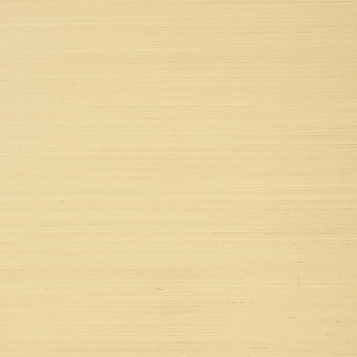 Thibaut Shang Extra Fine Sisal Vanilla Wallpaper
