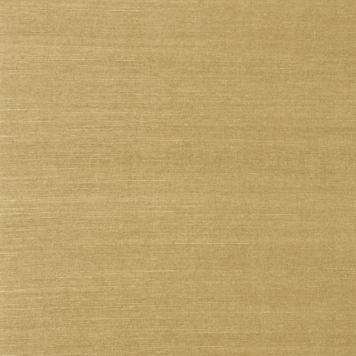 Thibaut Shang Extra Fine Sisal Mushroom Wallpaper