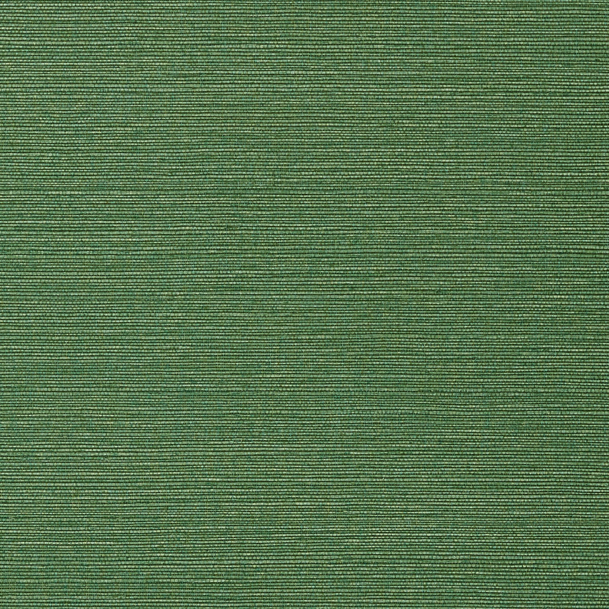 Thibaut Taluk Sisal Green Wallpaper