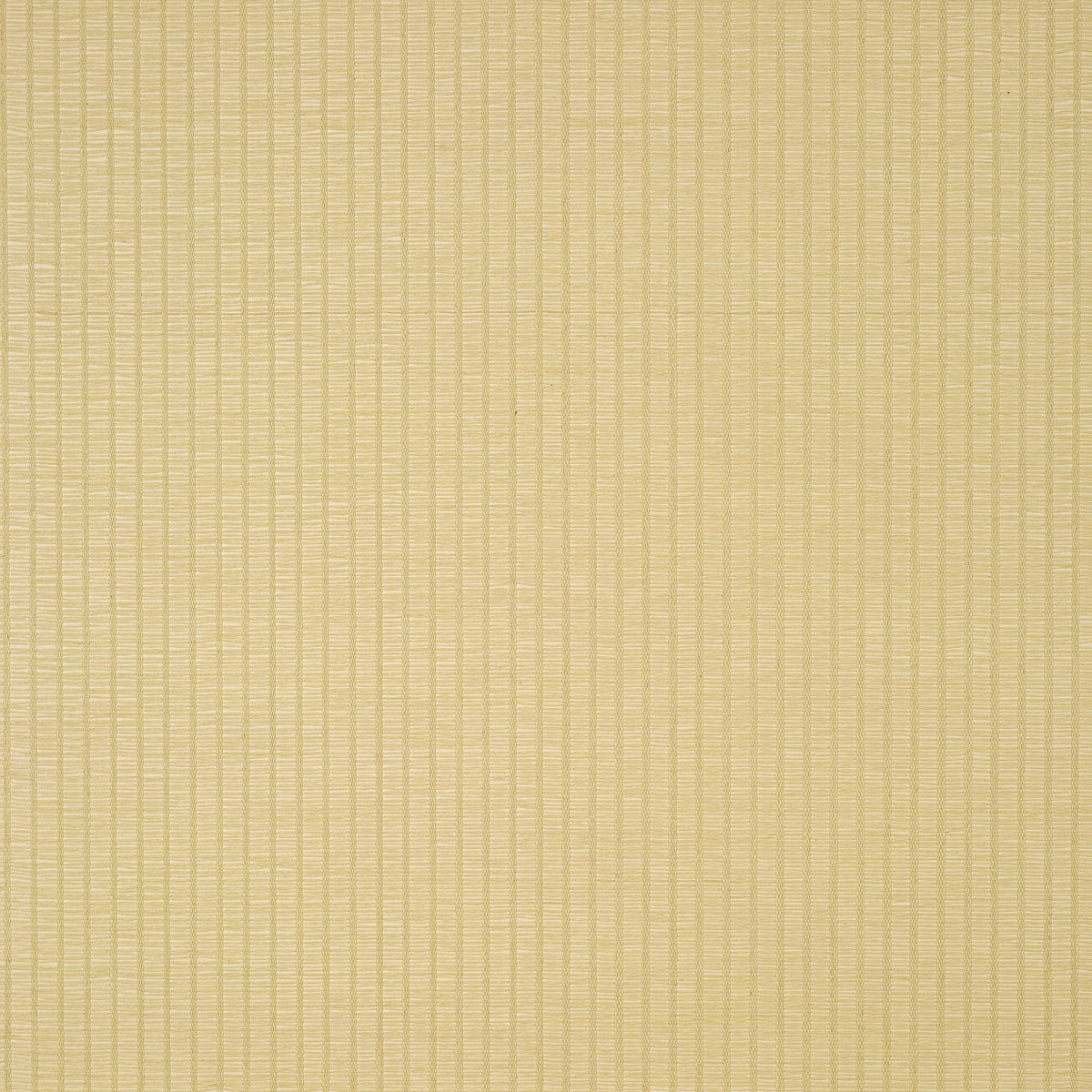 Thibaut Costa Stripe Beige Wallpaper