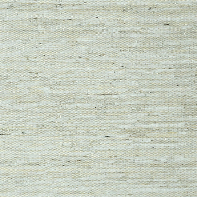 Thibaut Maranta Arrowroot Aqua Wallpaper