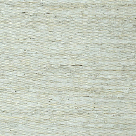 Thibaut Maranta Arrowroot Aqua Wallpaper