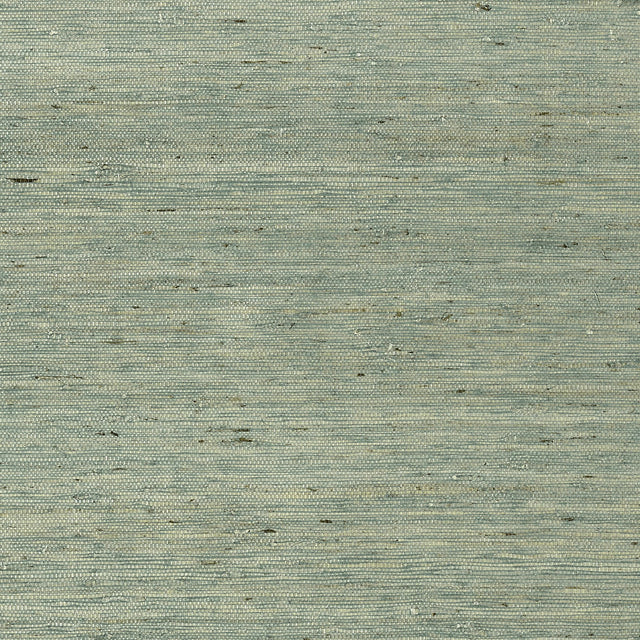 Thibaut Maranta Arrowroot Teal Wallpaper