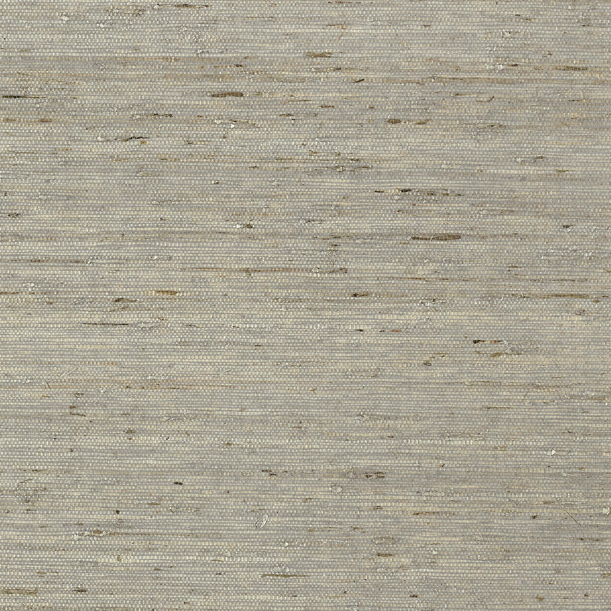 Thibaut Maranta Arrowroot Grey Wallpaper