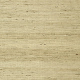 Thibaut Maranta Arrowroot Beige Wallpaper