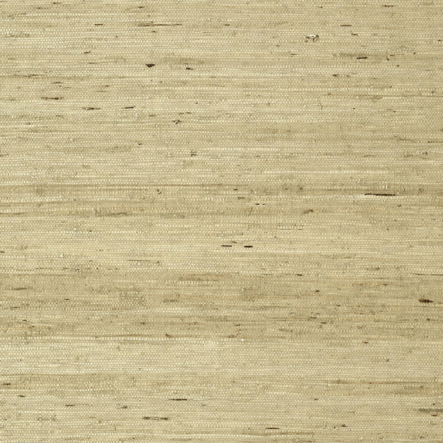 Thibaut Maranta Arrowroot Beige Wallpaper