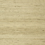 Thibaut Maranta Arrowroot Beige Wallpaper