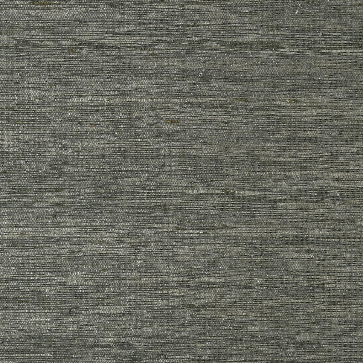 Thibaut Maranta Arrowroot Black Wallpaper